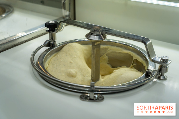 Pedone, le glacier Italien Paris 1er