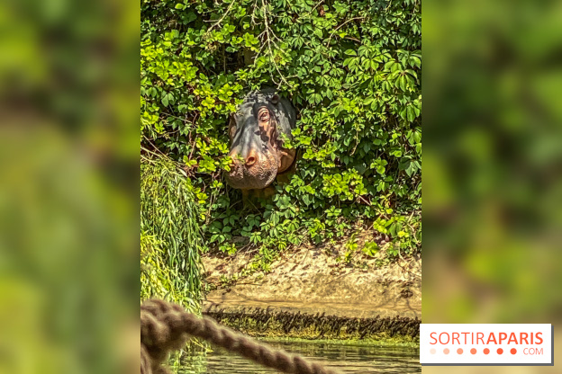 Adventure Boat : l’expérience immersive sur un bateau à Nogent-sur-Marne - IMG 6611