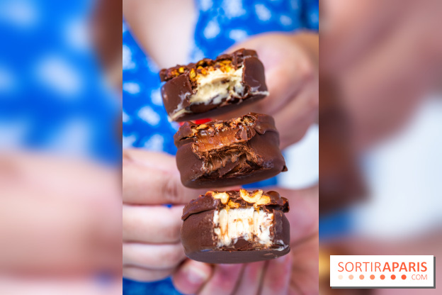 Les bouchées glacées de la Chocolaterie William Artigue, les esquimaux gourmands
