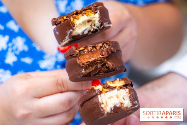Les bouchées glacées de la Chocolaterie William Artigue, les esquimaux gourmands