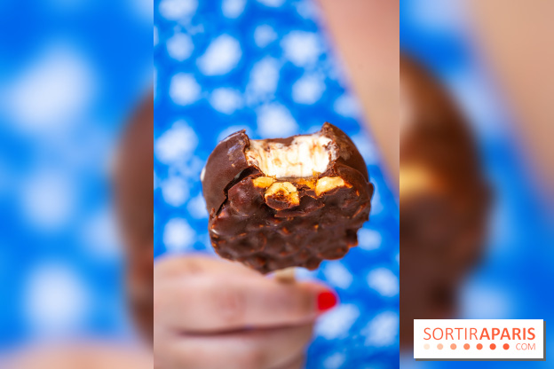 Les bouchées glacées de la Chocolaterie William Artigue, les esquimaux gourmands - A7C04201