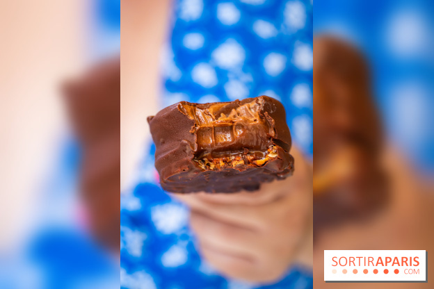 Les bouchées glacées de la Chocolaterie William Artigue, les esquimaux gourmands - A7C04203