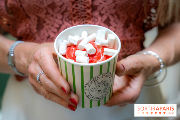 Les glaces gourmandes de l'Épicerie du Bristol - les photos