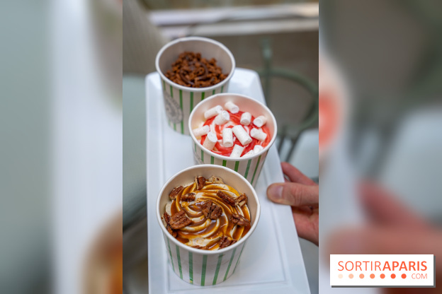 Les glaces gourmandes de l'Épicerie du Bristol - les photos
