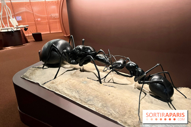 La nouvelle Cité des enfants - nos photos - A1630C18 FB12 4E27 B2A1 7D3E82BD2511