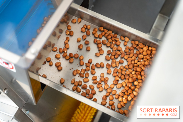 Pleincœur : Atelier Noisette & Chocolat - boutique et atelier Paris 17e, les photos - A7C04707