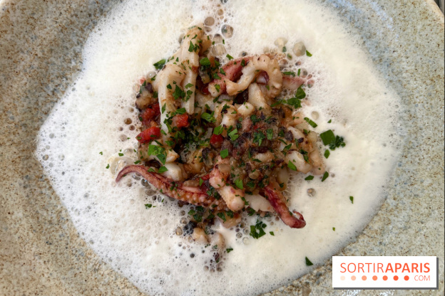 Divellec - Encornets en persillade, chorizo