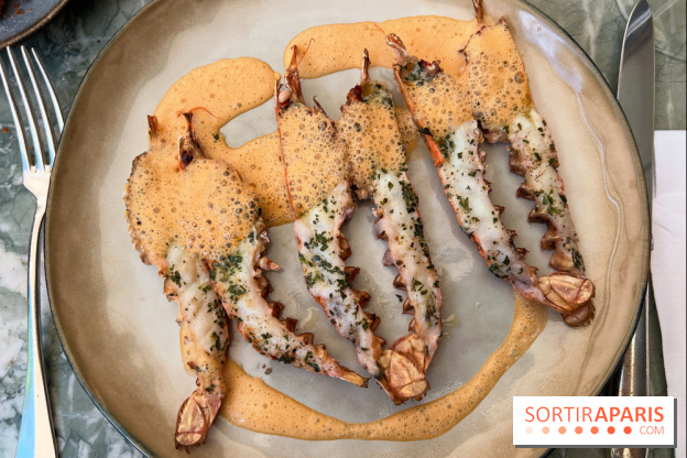 Divellec - Langoustines grillées