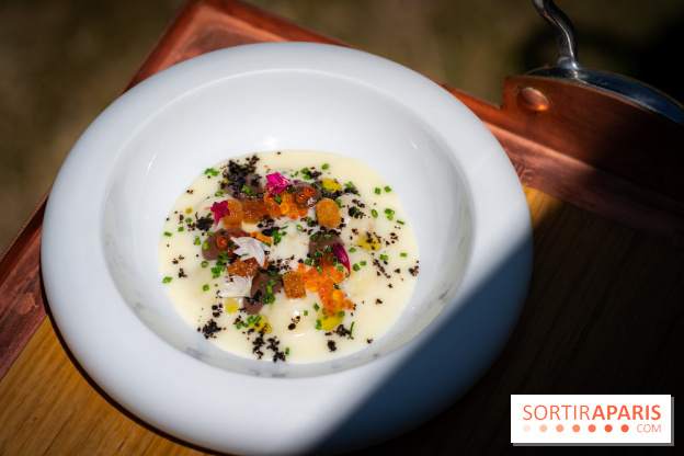 Restaurant Papylles à Bois-le-Roi - les photos - La pomme de terre nouvelles de Julien Favry Velouté Vichyssoise, œufs de truite fumée, olives noires