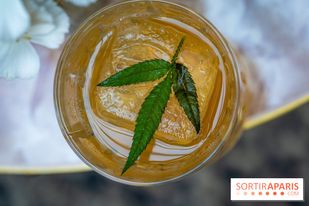 Frivole, restaurant festif, bar et terrasse cachée à Paris, les photos - A7C04326