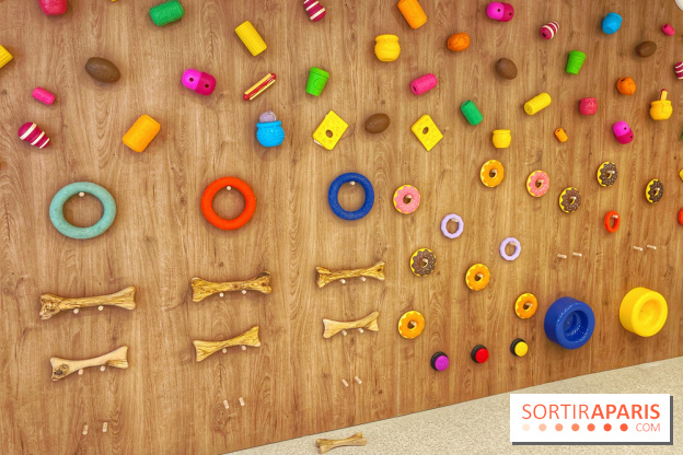 The Dogry - IMG 3582