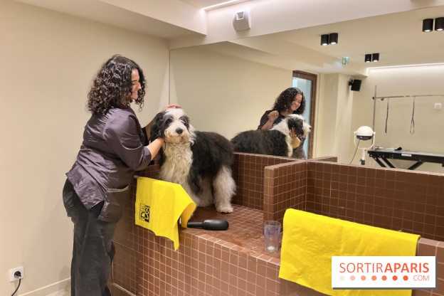 The Dogry - IMG 3595