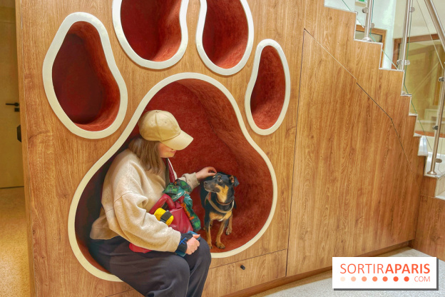 The Dogry - IMG 3596