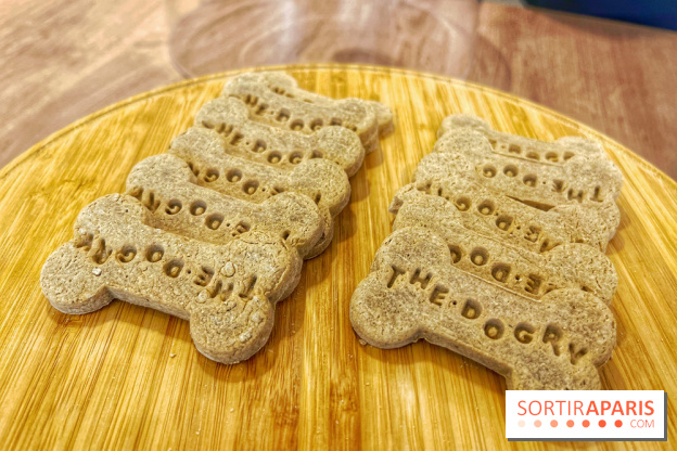 The Dogry - IMG 3599