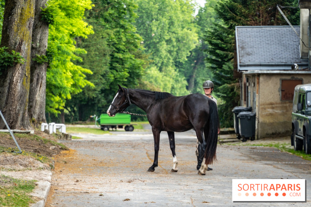 Visite guidée de l'École Mlitaire d'Équitation - A7C02319