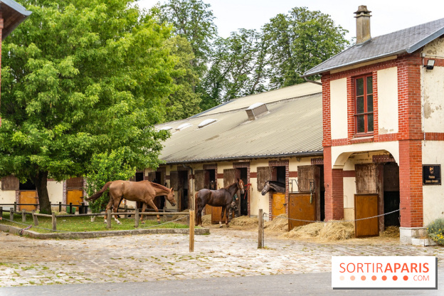 Visite guidée de l'École Mlitaire d'Équitation