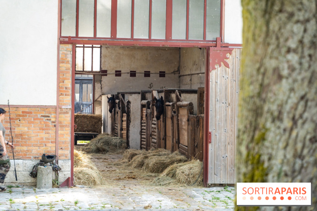 Visite guidée de l'École Mlitaire d'Équitation