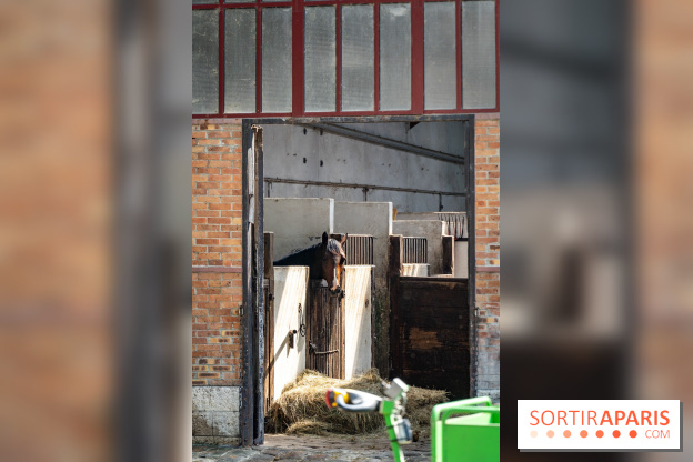 Visite guidée de l'École Mlitaire d'Équitation