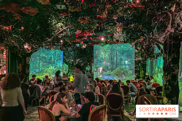 Wonderwoods - IMG 6786