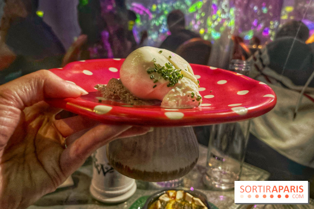 Wonderwoods - IMG 3707