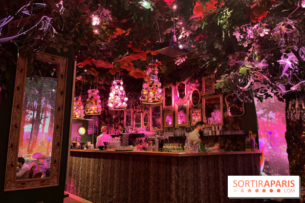 Wonderwoods - IMG 3728