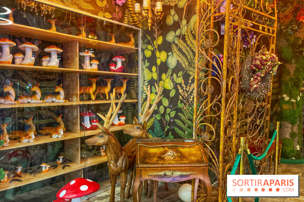 Wonderwoods - IMG 3742