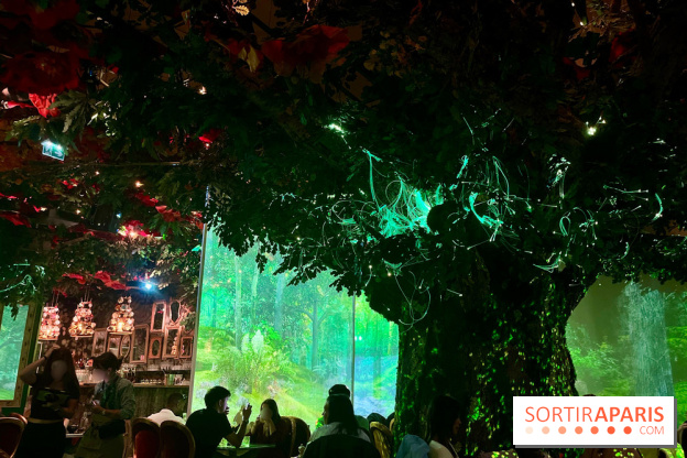 Wonderwoods - IMG 3810