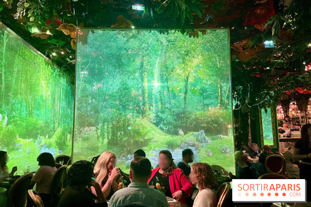 Wonderwoods