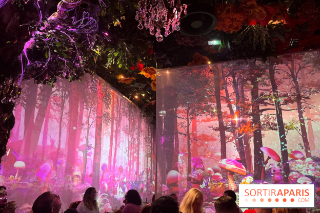 Wonderwoods - IMG 3812