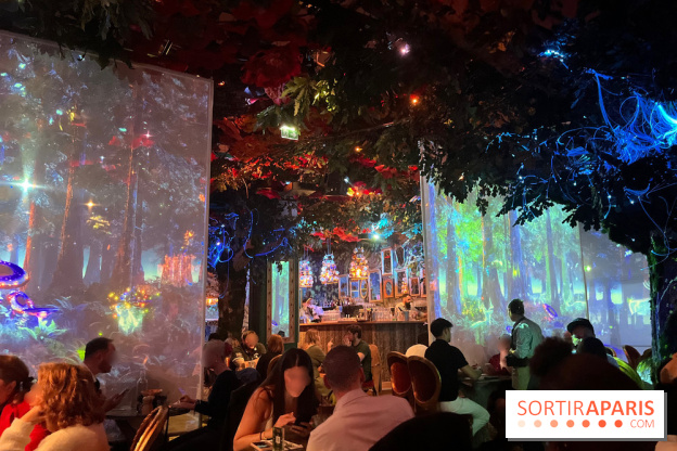 Wonderwoods - IMG 3814