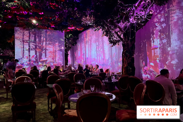 Wonderwoods - IMG 3815