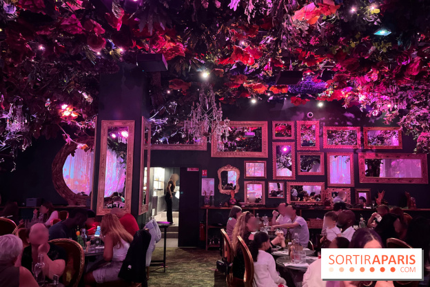 Wonderwoods - IMG 3816