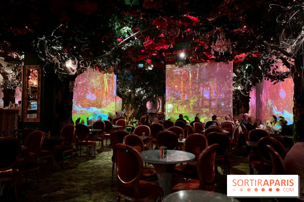 Wonderwoods - IMG 3818