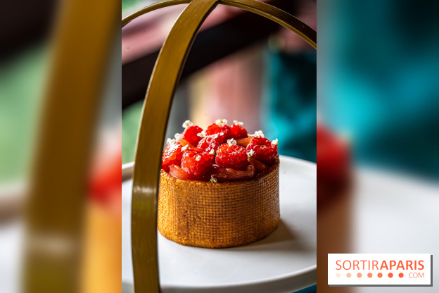 Le tea time goûter de Baptiste Vial aux Étangs de Corot à Ville-d'Avray - A7C05387