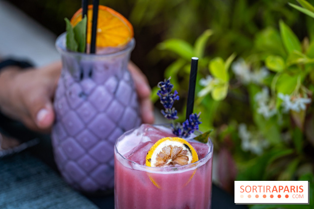 Le Domaine des Vanneaux MGallery - les photos - A7C04492