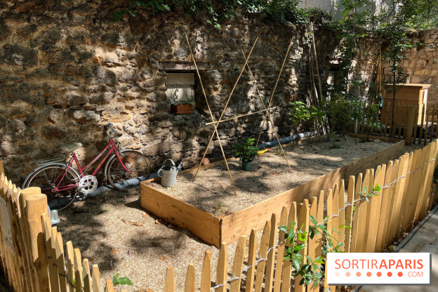 Jardin Junot - nos photos - EF946CBF 8A7A 4911 985B 52DB33EEB4C5