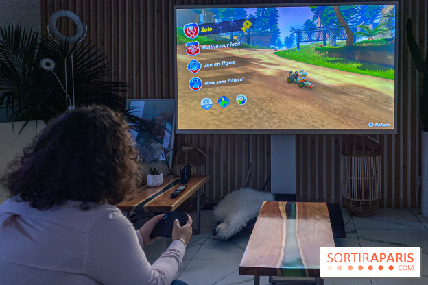 visuels Nintendo Switch 2