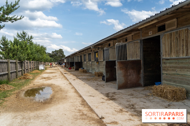 Le Grand Parquet Fontainebleau - photos  - A7C02565