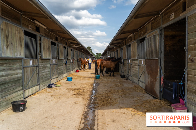 Le Grand Parquet Fontainebleau - photos  - A7C02566