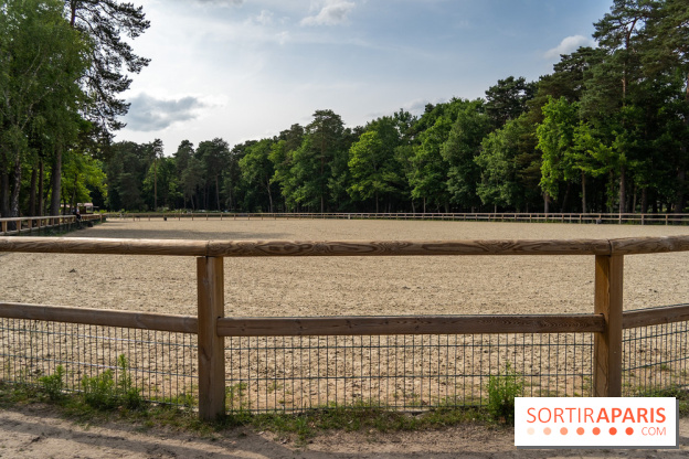 Le Grand Parquet Fontainebleau - photos  - A7C02569
