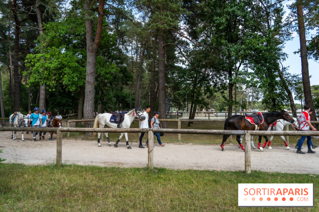 Le Grand Parquet Fontainebleau - photos  - A7C02570