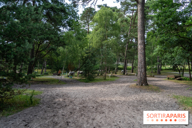 Le Grand Parquet Fontainebleau - photos  - A7C02571