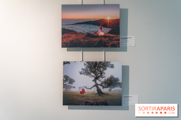 Exposition Dancing the Earth au Couvent de l'Annonciation Paris 8e