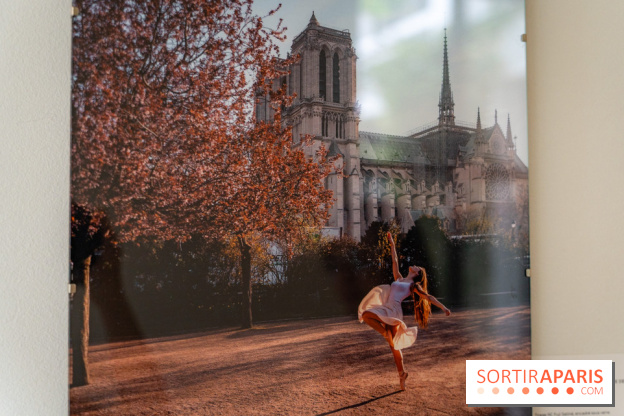 Exposition Dancing the Earth au Couvent de l'Annonciation Paris 8e
