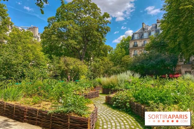 Jardin Médiéval du Musée de Cluny