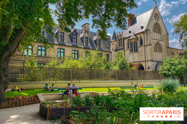 Jardin Médiéval du Musée de Cluny - IMG 3901