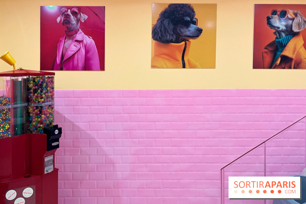 Patapwouf, le spot cani-friendly de Saint-Ouen - nos photos - 3A056E7A 515A 49BC 9E6D D01399762918