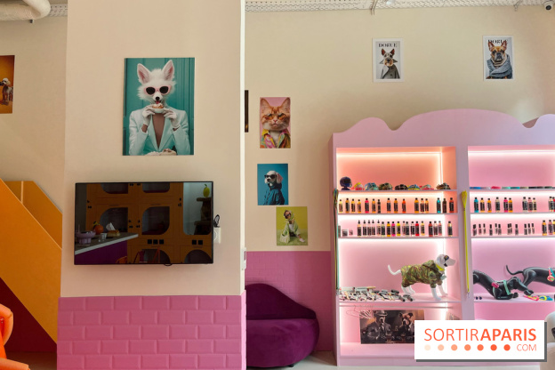 Patapwouf, le spot cani-friendly de Saint-Ouen - nos photos - 5B0C3066 1B00 4ACE 8DC8 0CB498548433