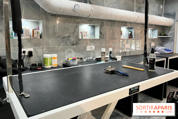 Patapwouf, le spot cani-friendly de Saint-Ouen - nos photos - 393556D9 EA36 4DFD 8540 3C17E3D5F509