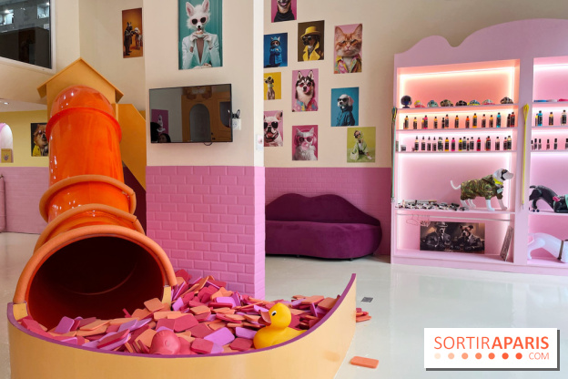 Patapwouf, le spot cani-friendly de Saint-Ouen - nos photos - A20E0070 2D50 49D7 8DC4 7B247EC53339